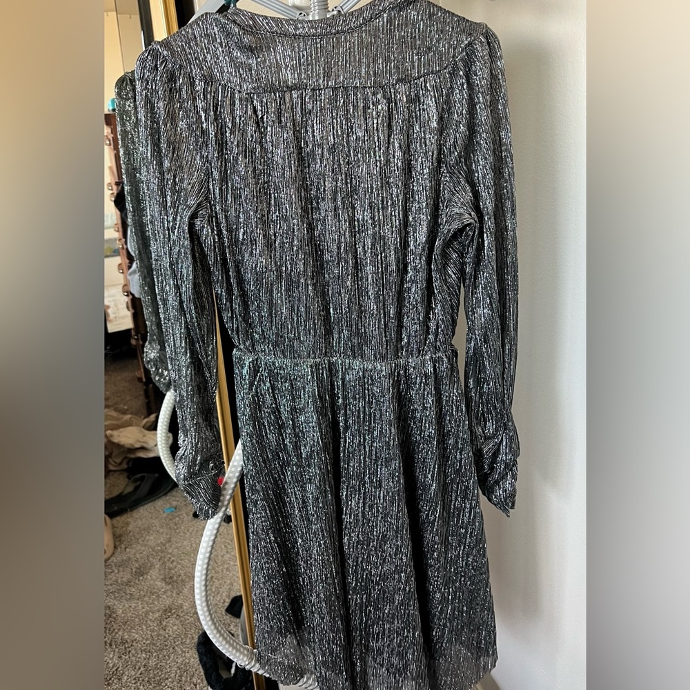 Express Silver Dress